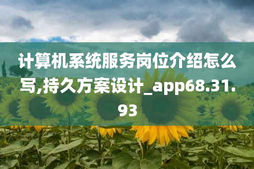 计算机系统服务岗位介绍怎么写,持久方案设计_app68.31.93