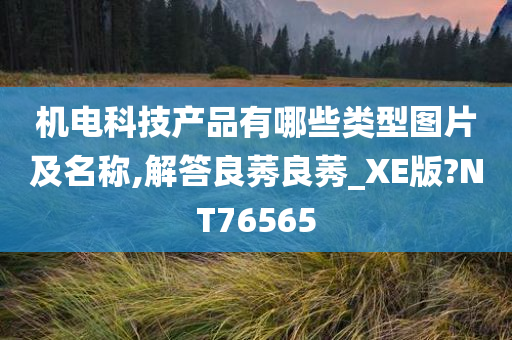 机电科技产品有哪些类型图片及名称,解答良莠良莠_XE版?NT76565