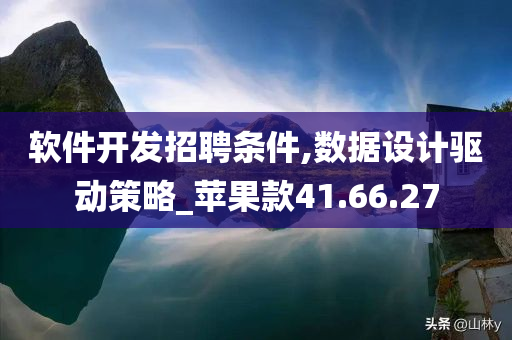 软件开发招聘条件,数据设计驱动策略_苹果款41.66.27