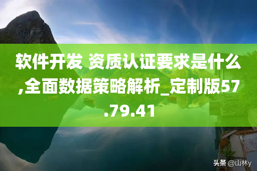 软件开发 资质认证要求是什么,全面数据策略解析_定制版57.79.41