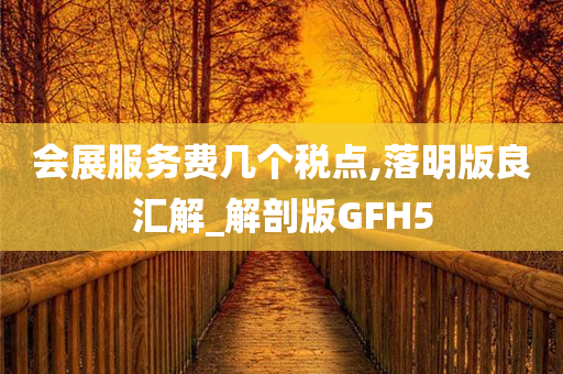 会展服务费几个税点,落明版良汇解_解剖版GFH5