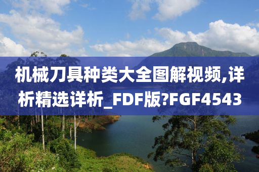 机械刀具种类大全图解视频,详析精选详析_FDF版?FGF4543