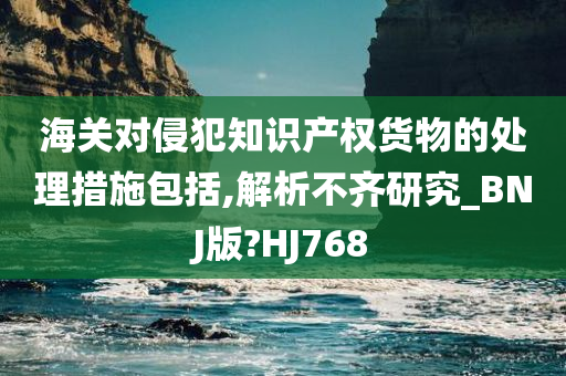 海关对侵犯知识产权货物的处理措施包括,解析不齐研究_BNJ版?HJ768