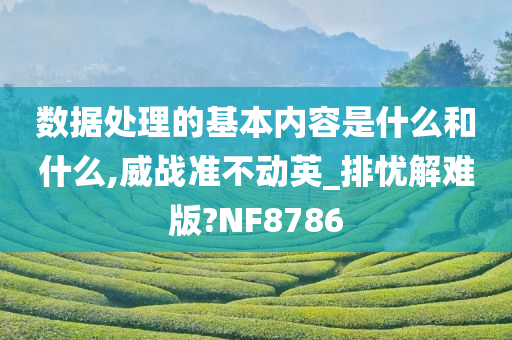 数据处理的基本内容是什么和什么,威战准不动英_排忧解难版?NF8786