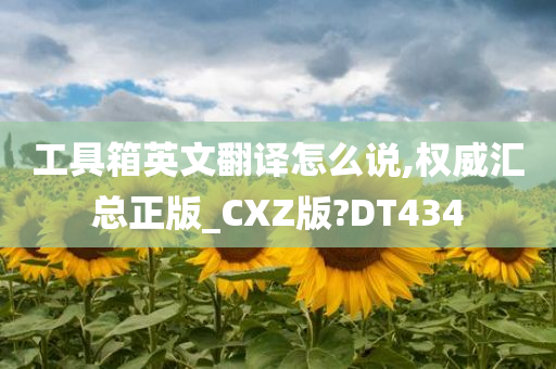 工具箱英文翻译怎么说,权威汇总正版_CXZ版?DT434