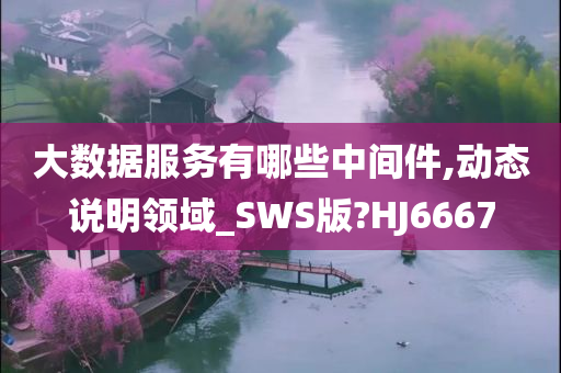 大数据服务有哪些中间件,动态说明领域_SWS版?HJ6667