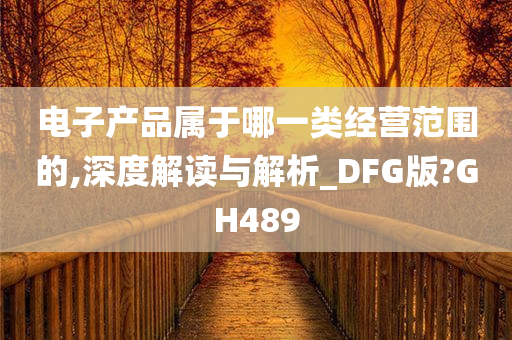 电子产品属于哪一类经营范围的,深度解读与解析_DFG版?GH489