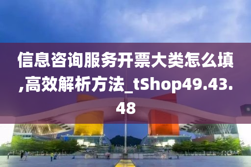 信息咨询服务开票大类怎么填,高效解析方法_tShop49.43.48