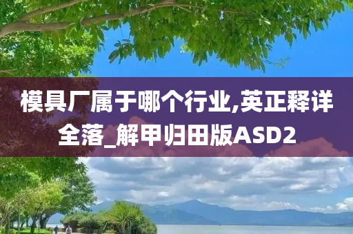 模具厂属于哪个行业,英正释详全落_解甲归田版ASD2