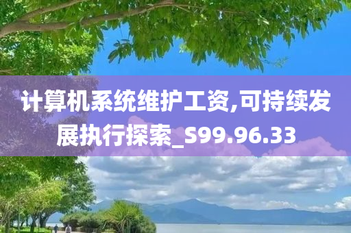 计算机系统维护工资,可持续发展执行探索_S99.96.33