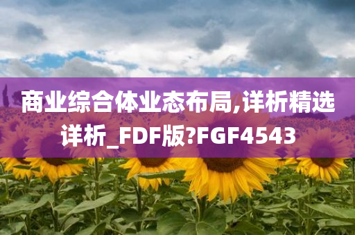 商业综合体业态布局,详析精选详析_FDF版?FGF4543