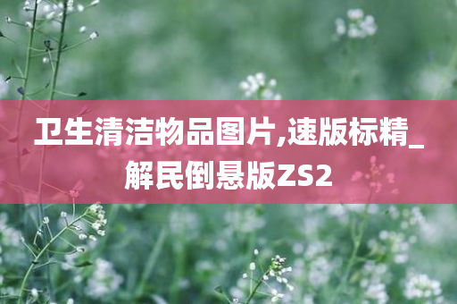 卫生清洁物品图片,速版标精_解民倒悬版ZS2