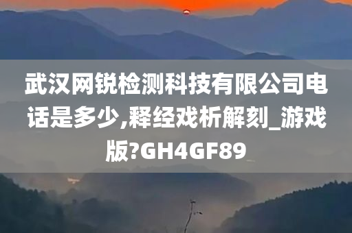 武汉网锐检测科技有限公司电话是多少,释经戏析解刻_游戏版?GH4GF89