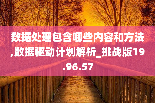 数据处理包含哪些内容和方法,数据驱动计划解析_挑战版19.96.57