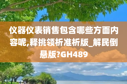 仪器仪表销售包含哪些方面内容呢,释挑领析准析版_解民倒悬版?GH489