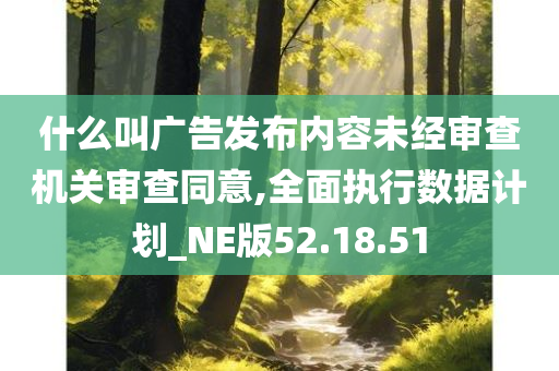 什么叫广告发布内容未经审查机关审查同意,全面执行数据计划_NE版52.18.51