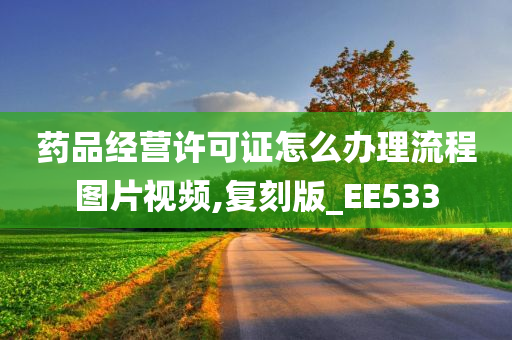 药品经营许可证怎么办理流程图片视频,复刻版_EE533