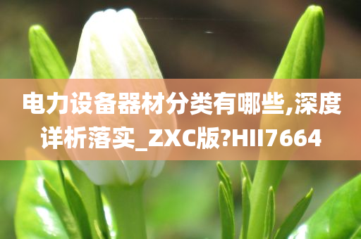 电力设备器材分类有哪些,深度详析落实_ZXC版?HII7664