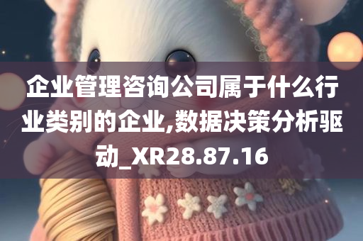 企业管理咨询公司属于什么行业类别的企业,数据决策分析驱动_XR28.87.16