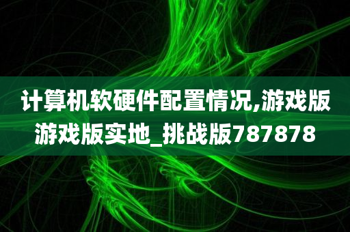 计算机软硬件配置情况,游戏版游戏版实地_挑战版787878