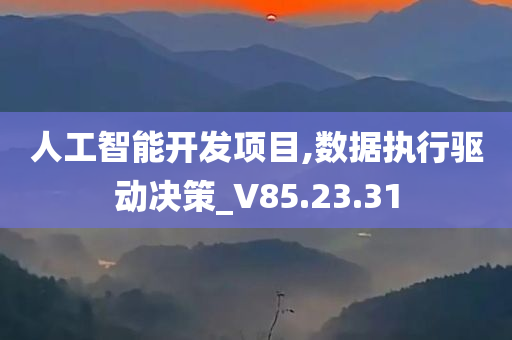 人工智能开发项目,数据执行驱动决策_V85.23.31