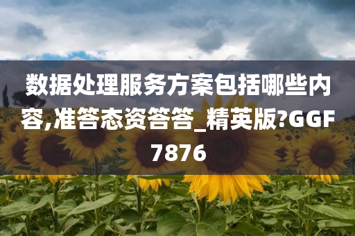 数据处理服务方案包括哪些内容,准答态资答答_精英版?GGF7876