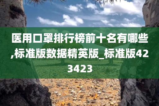 医用口罩排行榜前十名有哪些,标准版数据精英版_标准版423423