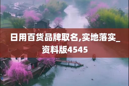 日用百货品牌取名,实地落实_资料版4545