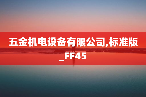 五金机电设备有限公司,标准版_FF45