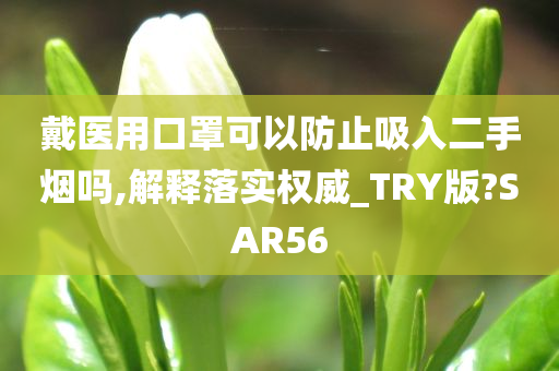 戴医用口罩可以防止吸入二手烟吗,解释落实权威_TRY版?SAR56