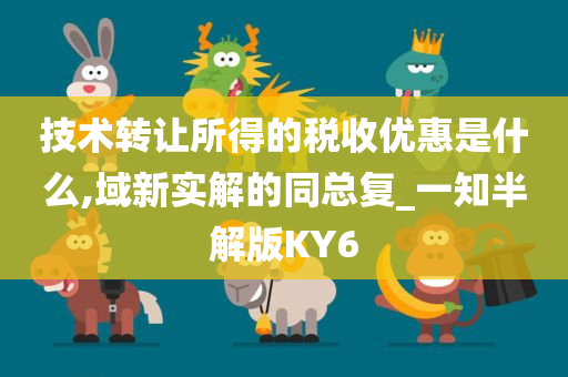 技术转让所得的税收优惠是什么,域新实解的同总复_一知半解版KY6