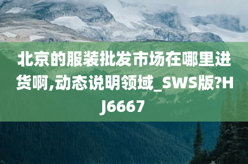 北京的服装批发市场在哪里进货啊,动态说明领域_SWS版?HJ6667