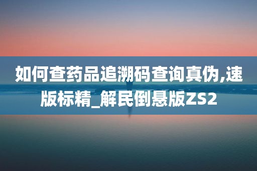 如何查药品追溯码查询真伪,速版标精_解民倒悬版ZS2