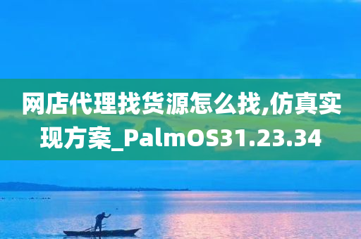 网店代理找货源怎么找,仿真实现方案_PalmOS31.23.34