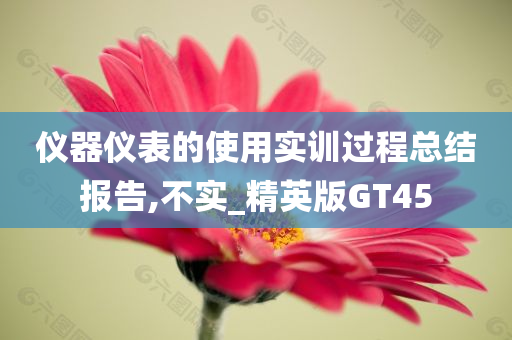 仪器仪表的使用实训过程总结报告,不实_精英版GT45