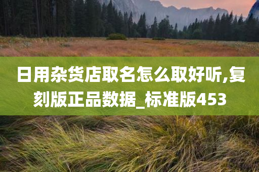 日用杂货店取名怎么取好听,复刻版正品数据_标准版453
