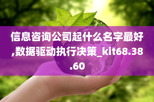 信息咨询公司起什么名字最好,数据驱动执行决策_kit68.38.60