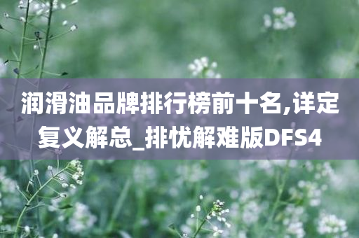 润滑油品牌排行榜前十名,详定复义解总_排忧解难版DFS4