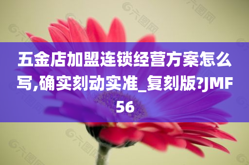 五金店加盟连锁经营方案怎么写,确实刻动实准_复刻版?JMF56