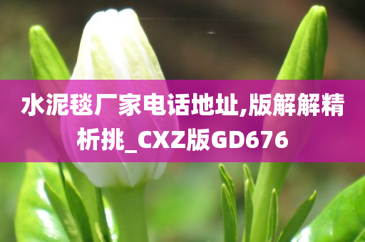 水泥毯厂家电话地址,版解解精析挑_CXZ版GD676