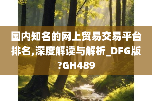 国内知名的网上贸易交易平台排名,深度解读与解析_DFG版?GH489