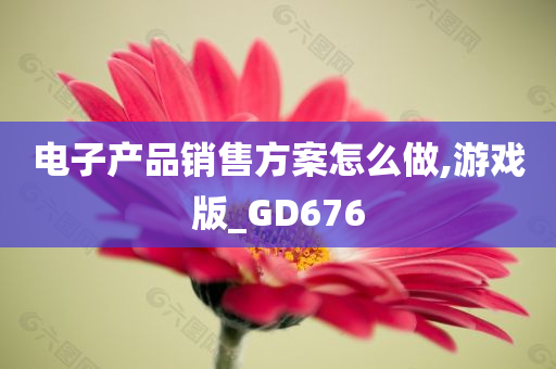 电子产品销售方案怎么做,游戏版_GD676