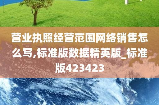 营业执照经营范围网络销售怎么写,标准版数据精英版_标准版423423