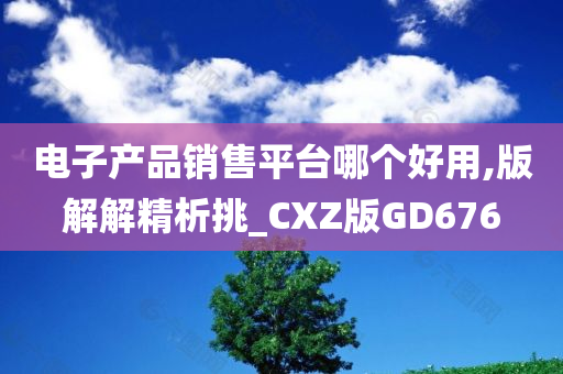 电子产品销售平台哪个好用,版解解精析挑_CXZ版GD676