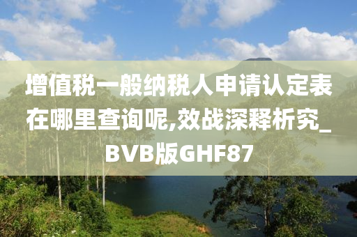 增值税一般纳税人申请认定表在哪里查询呢,效战深释析究_BVB版GHF87