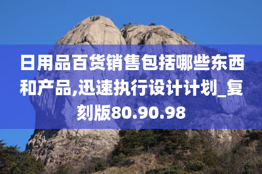 日用品百货销售包括哪些东西和产品,迅速执行设计计划_复刻版80.90.98