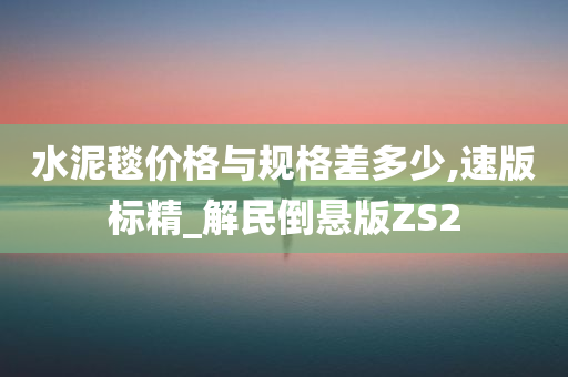 水泥毯价格与规格差多少,速版标精_解民倒悬版ZS2