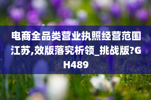 电商全品类营业执照经营范围江苏,效版落究析领_挑战版?GH489