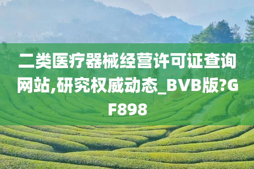 二类医疗器械经营许可证查询网站,研究权威动态_BVB版?GF898