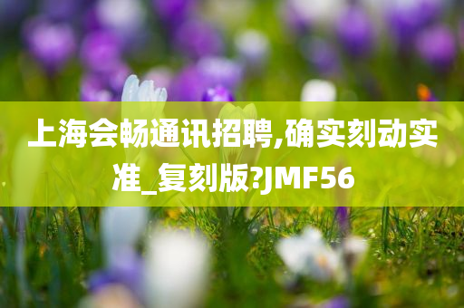 上海会畅通讯招聘,确实刻动实准_复刻版?JMF56